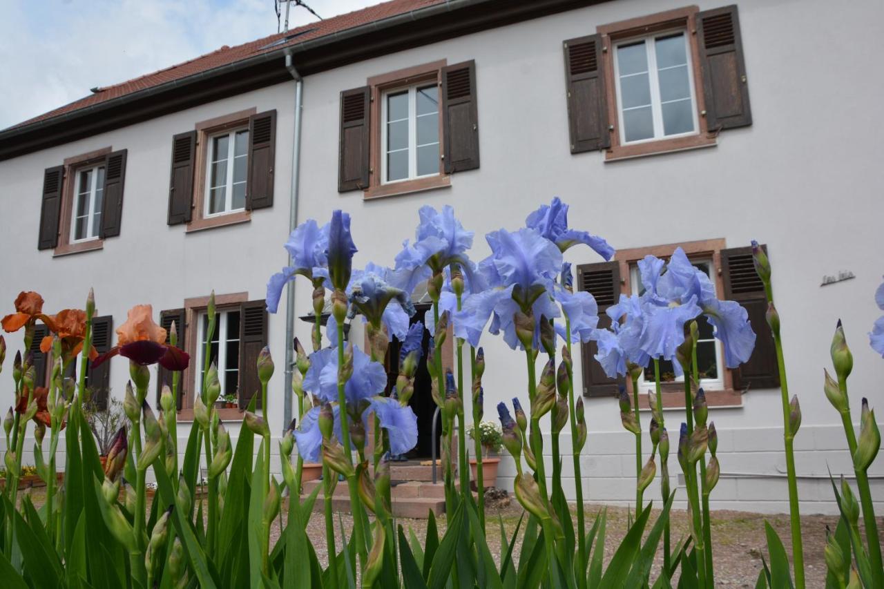 Ferme Les Iris Issenheim Exterior foto