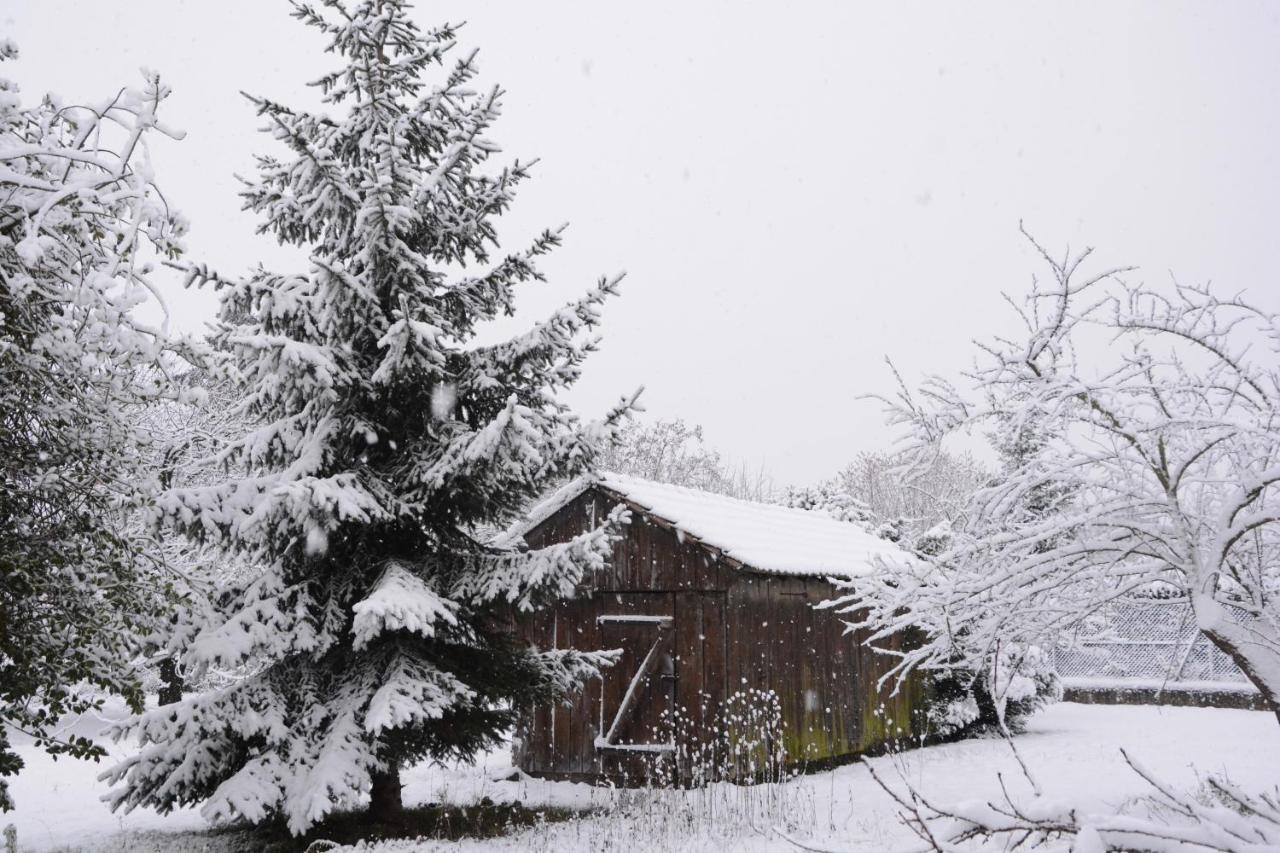 Ferme Les Iris Issenheim Exterior foto